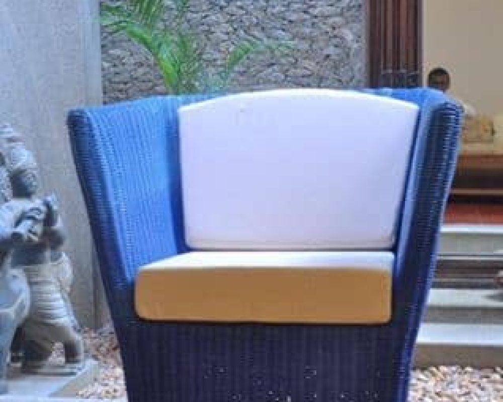 Natural Cane Chair Furniture